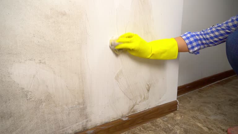 Best Black Mold Removal  in Sultana, CA